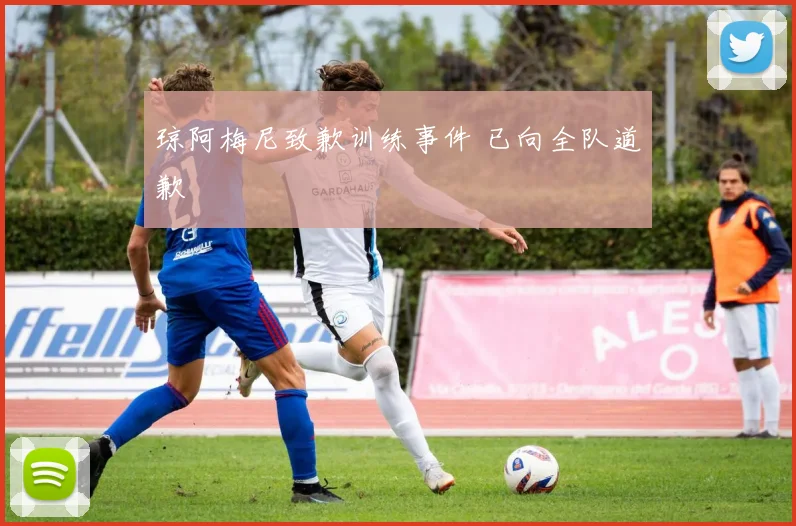琼阿梅尼致歉训练事件 已向全队道歉