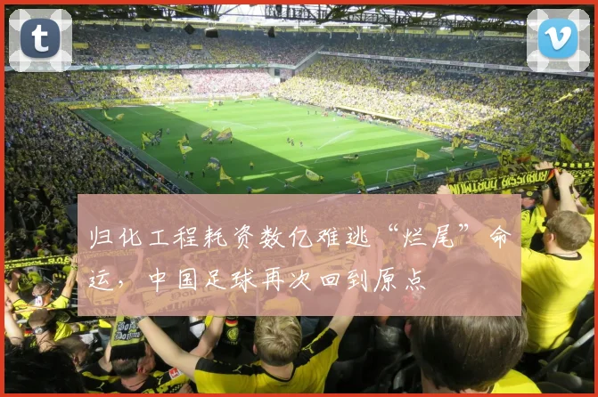 归化工程耗资数亿难逃“烂尾”命运，中国足球再次回到原点